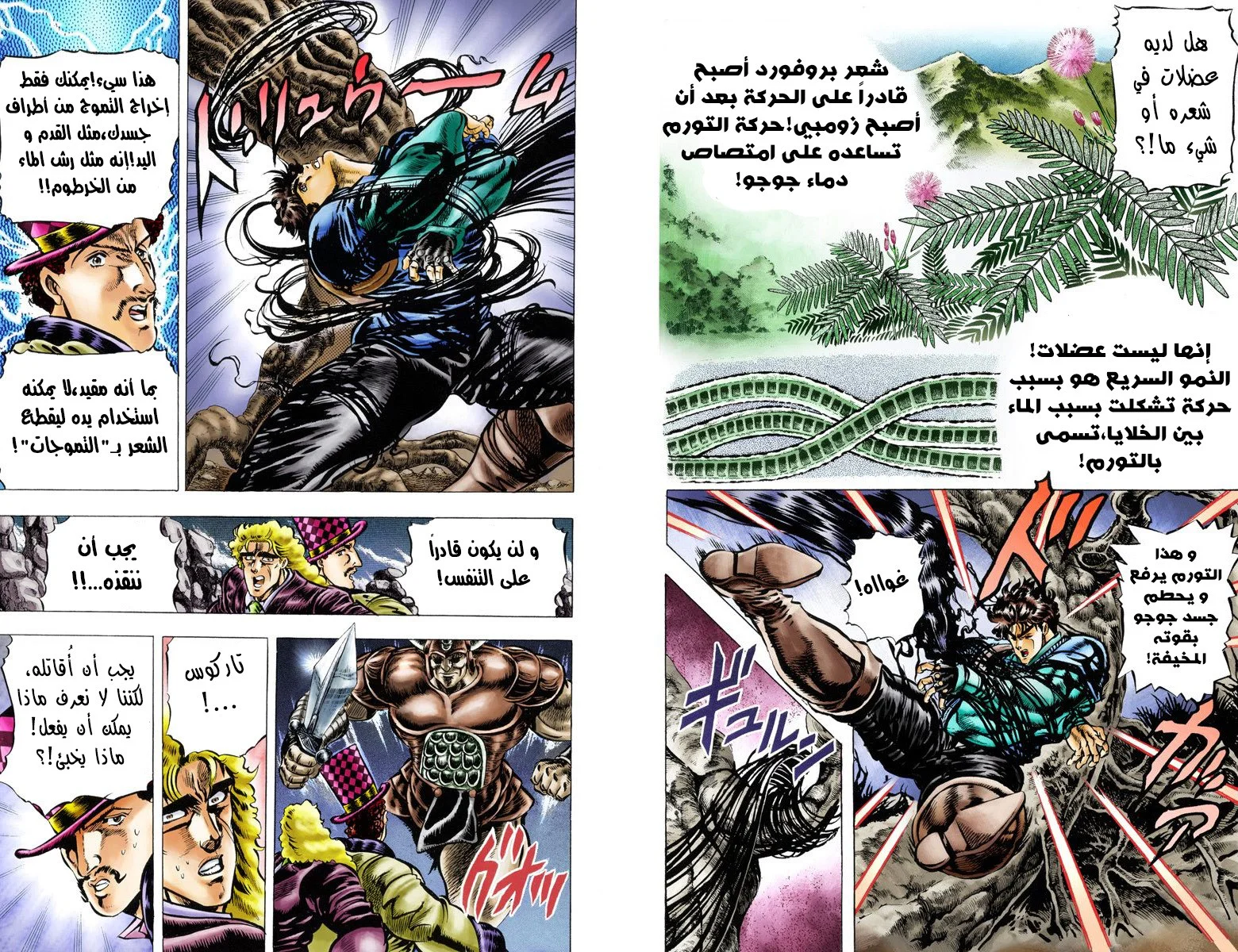 صفحة 5