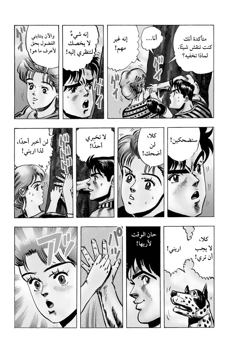 صفحة 17