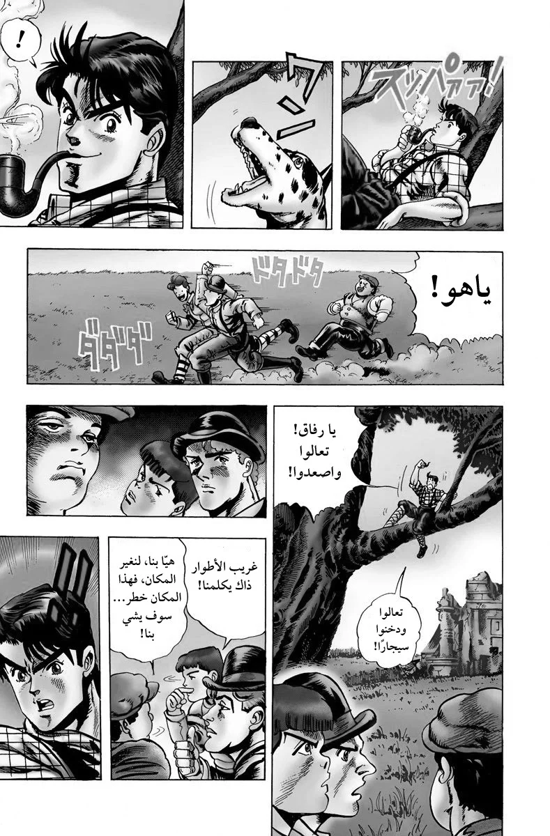 صفحة 7