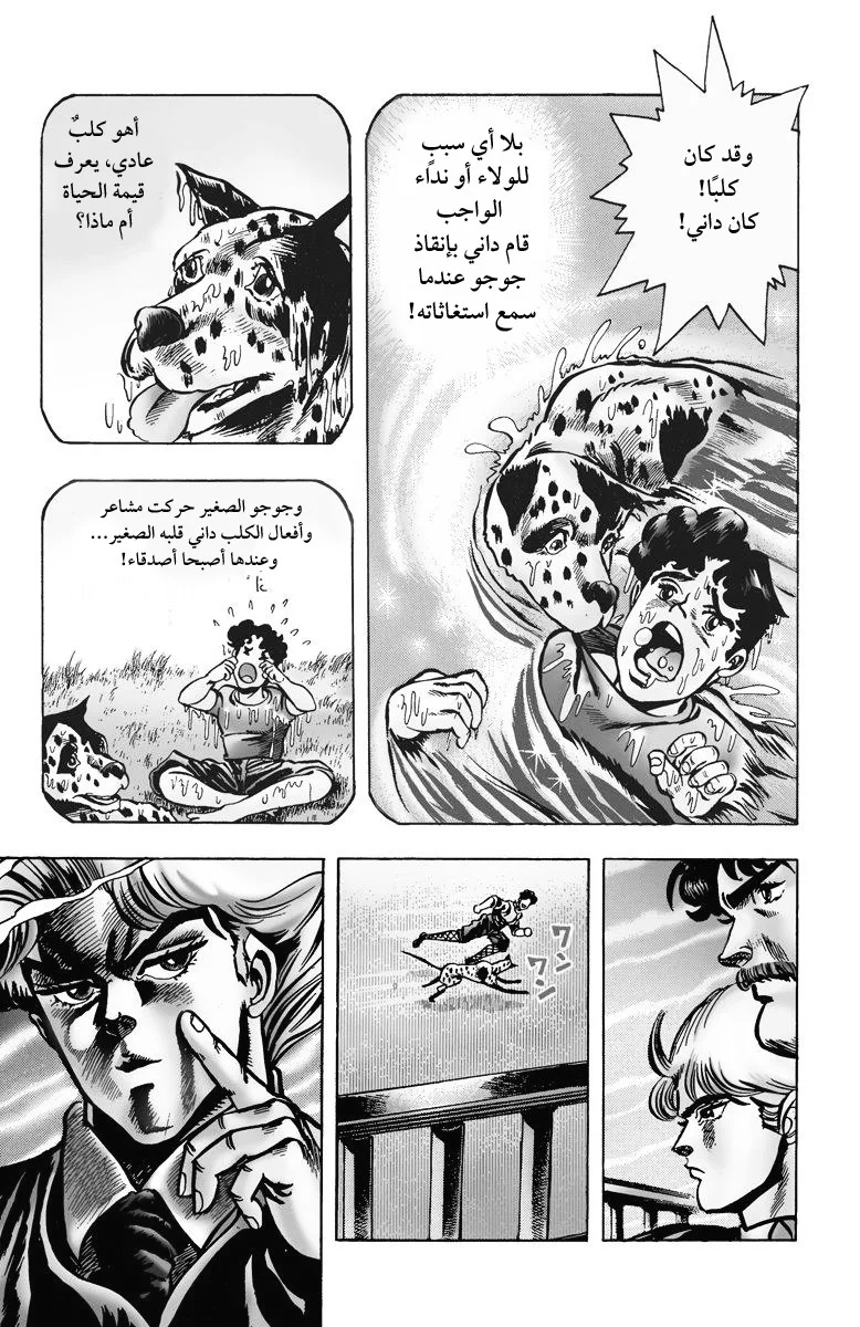 صفحة 11