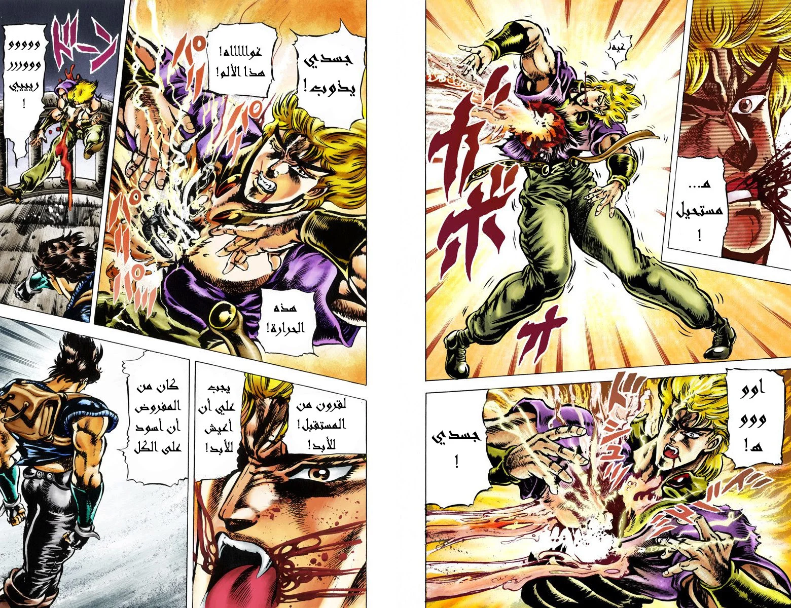 صفحة 3