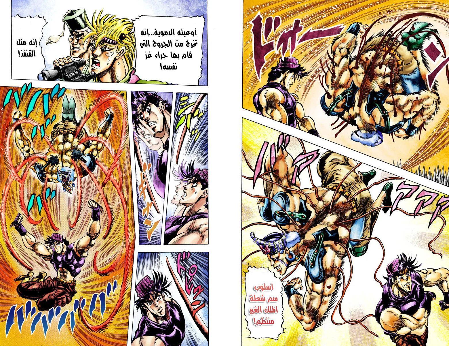 صفحة 8