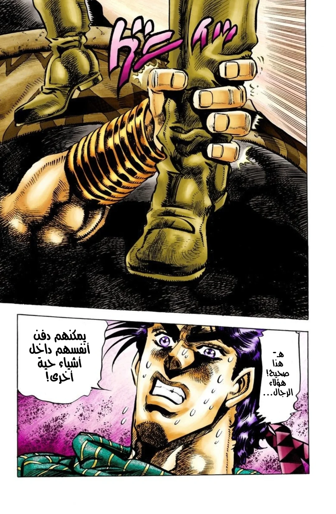 صفحة 17