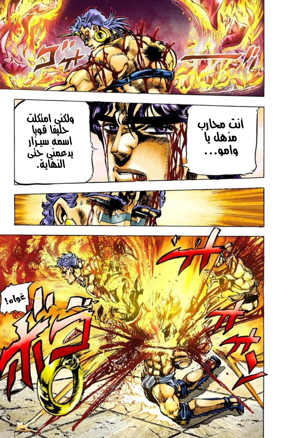 صفحة 17