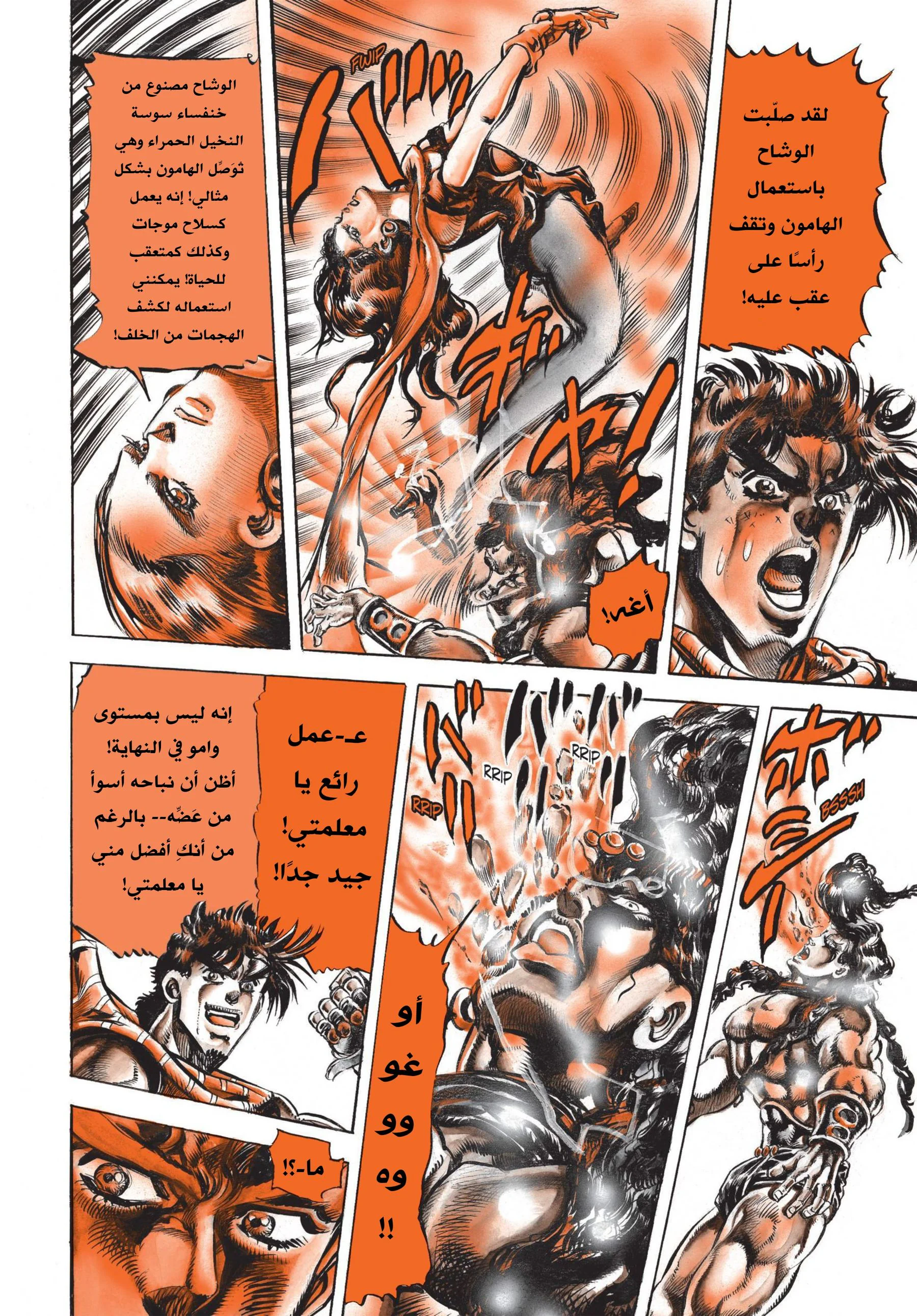صفحة 14