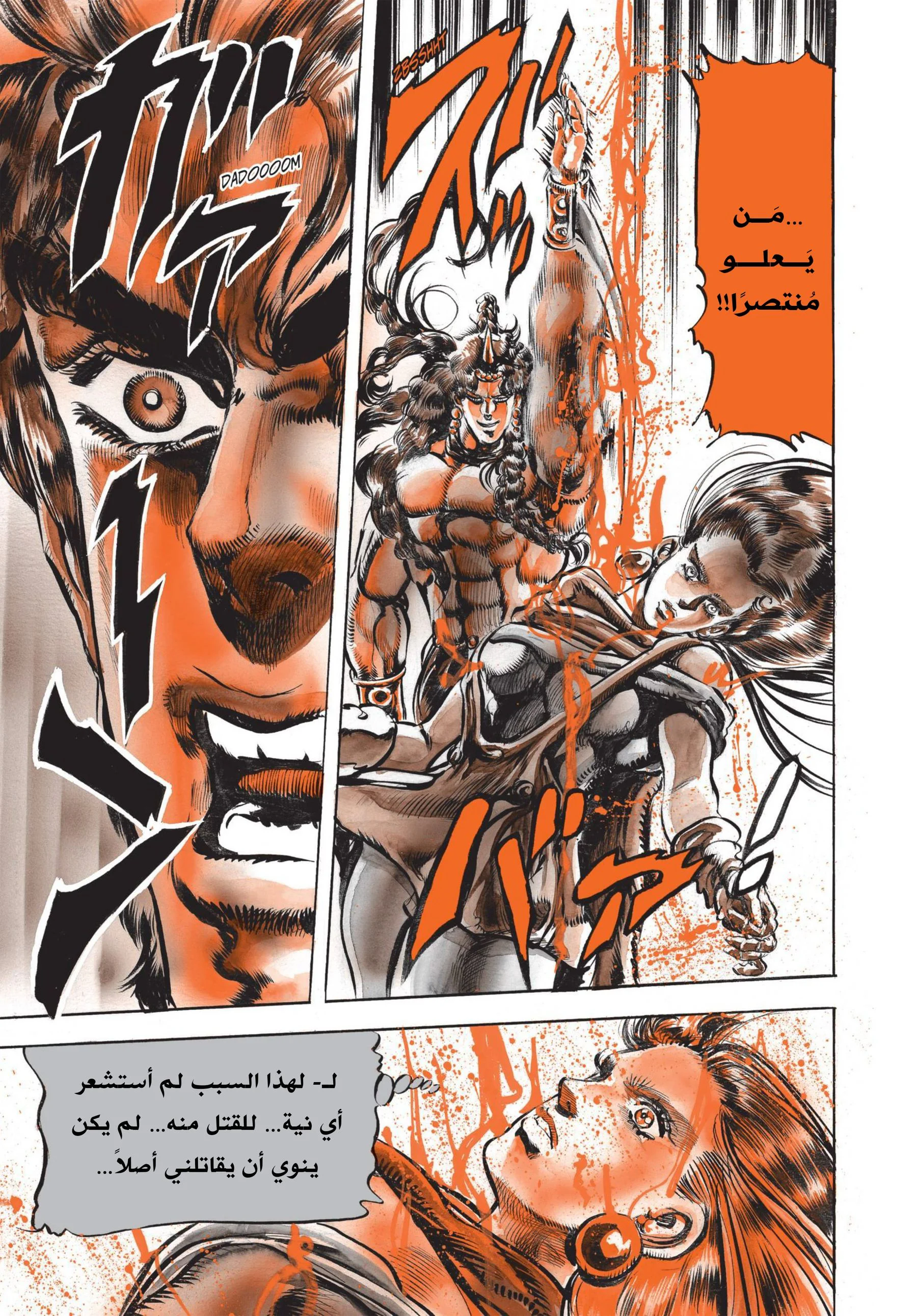 صفحة 17