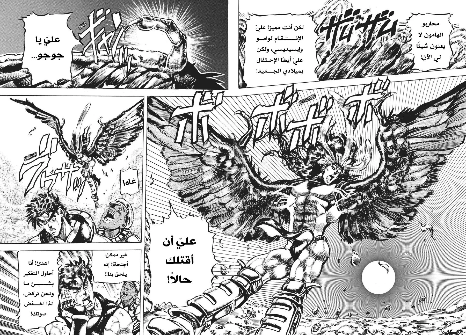 صفحة 17