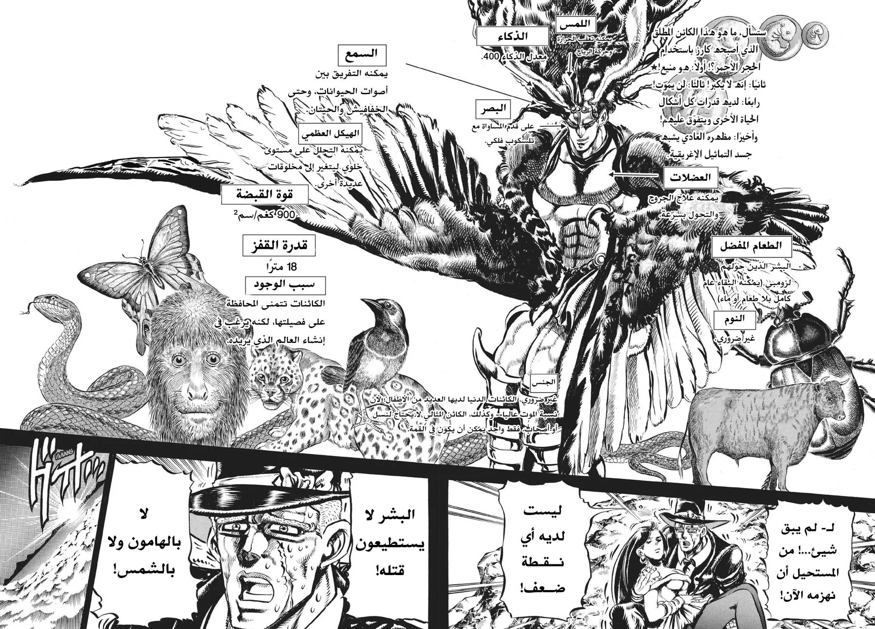 صفحة 2