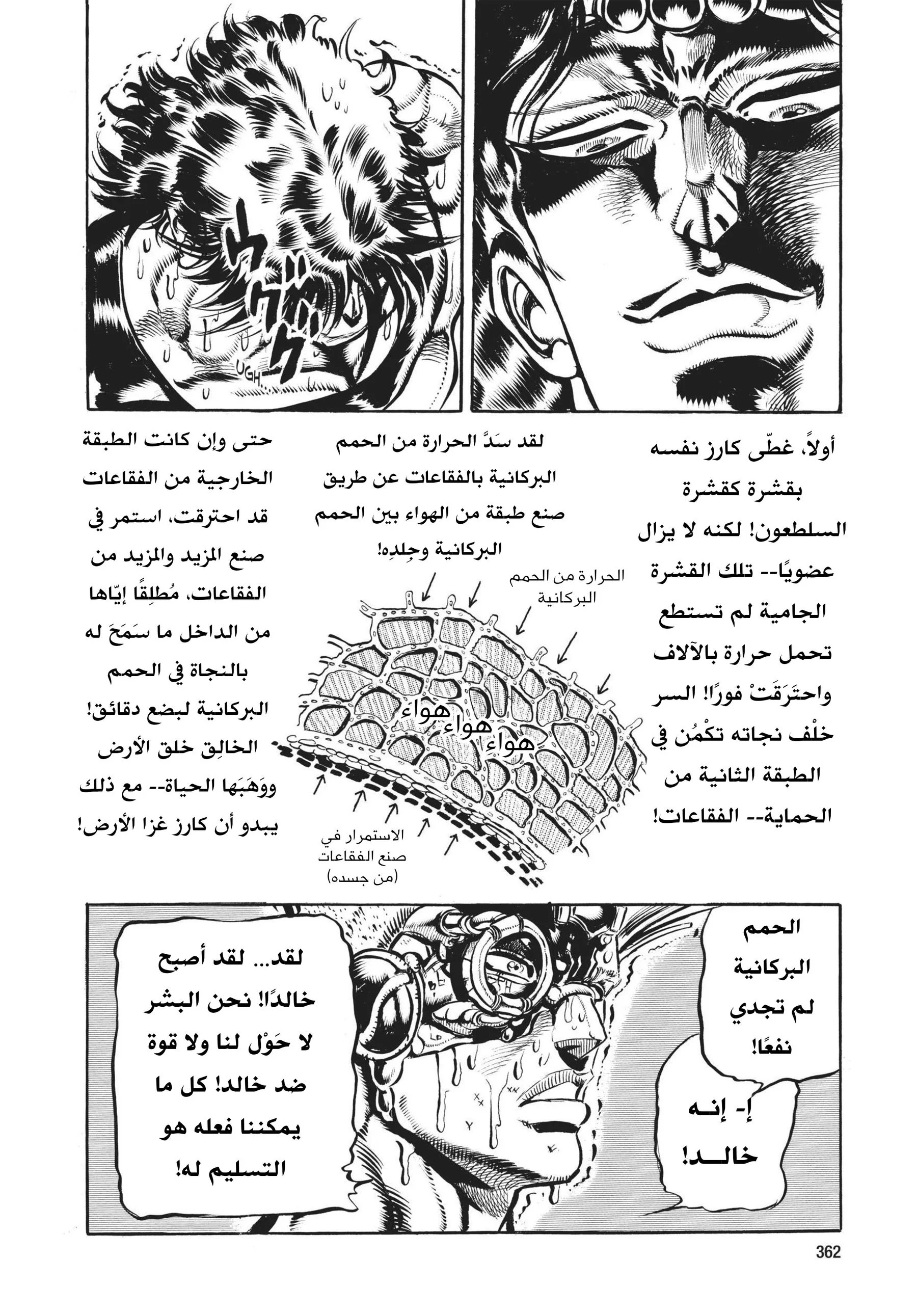 صفحة 17