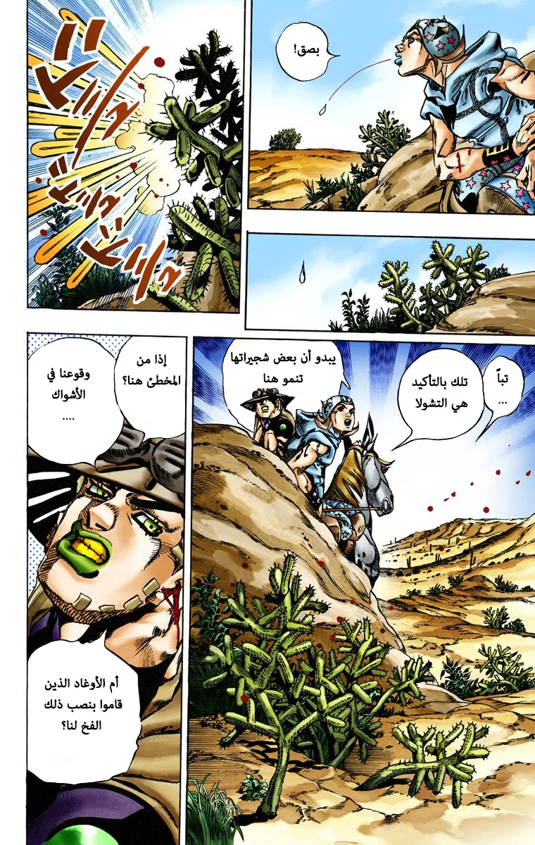 صفحة 13