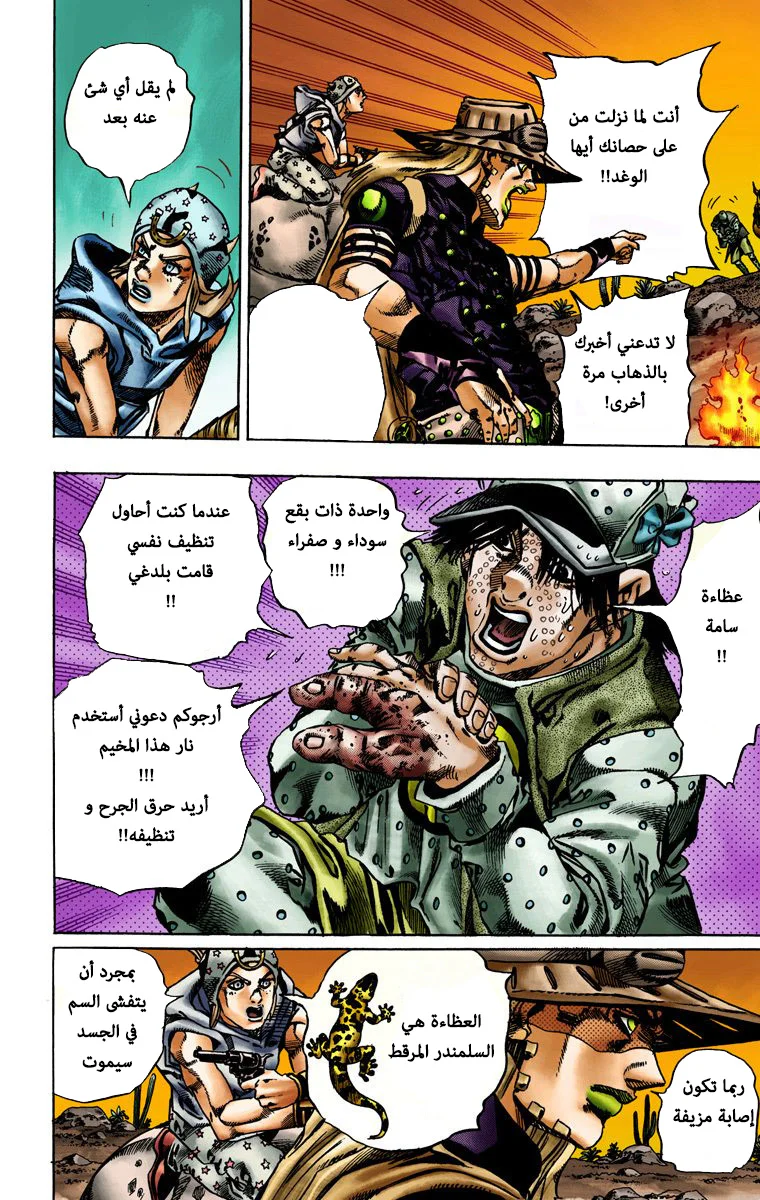 صفحة 17