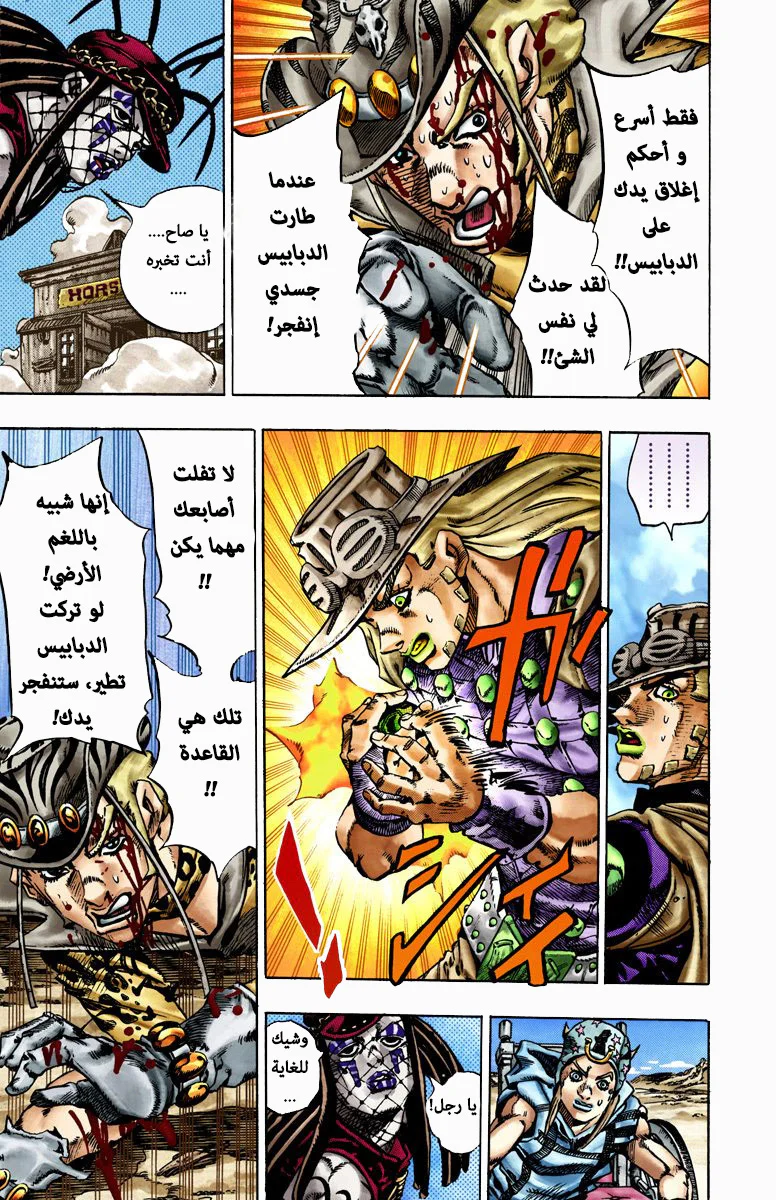 صفحة 13