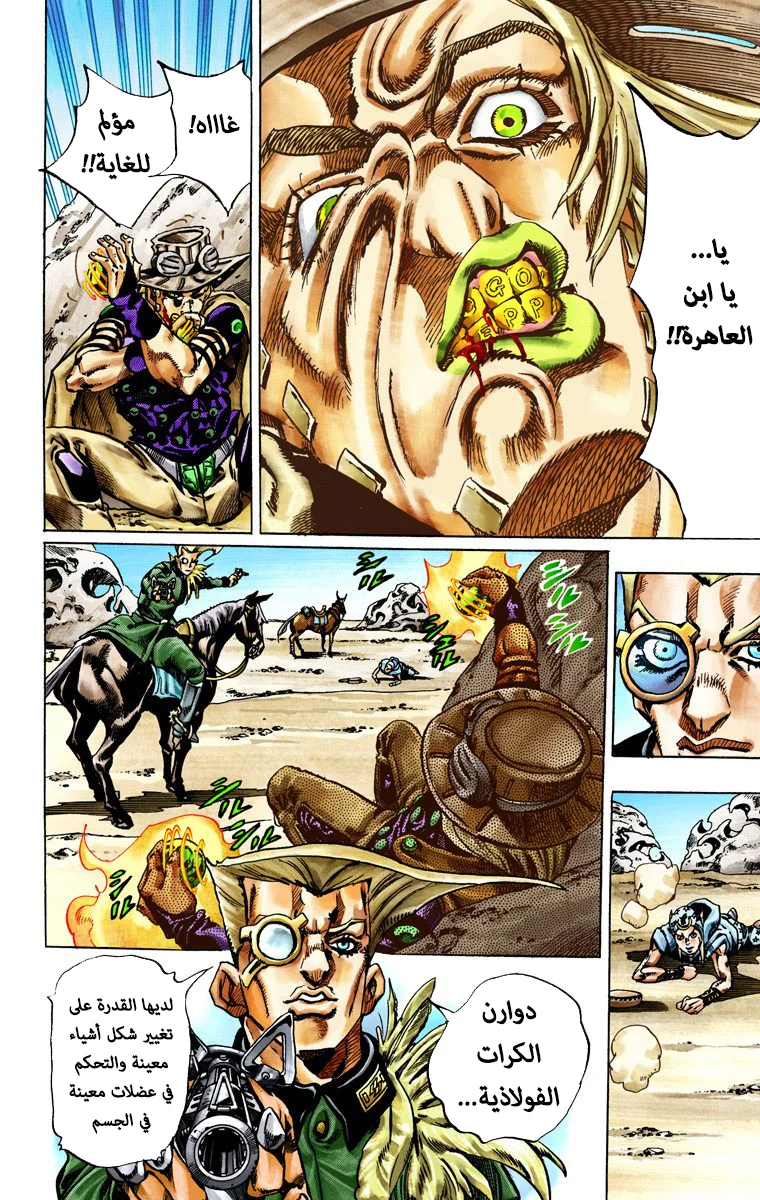صفحة 13