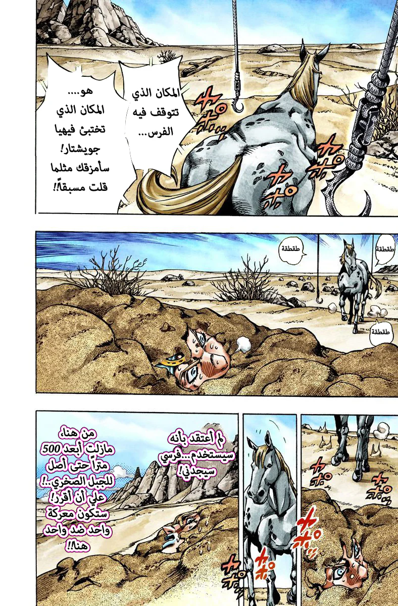 صفحة 13
