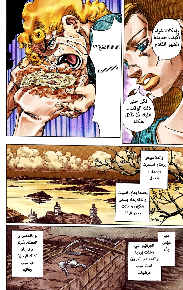 صفحة 17