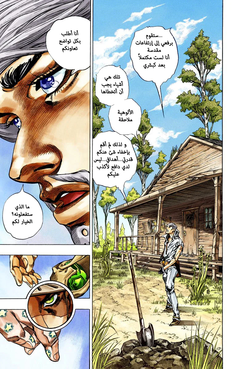 صفحة 31