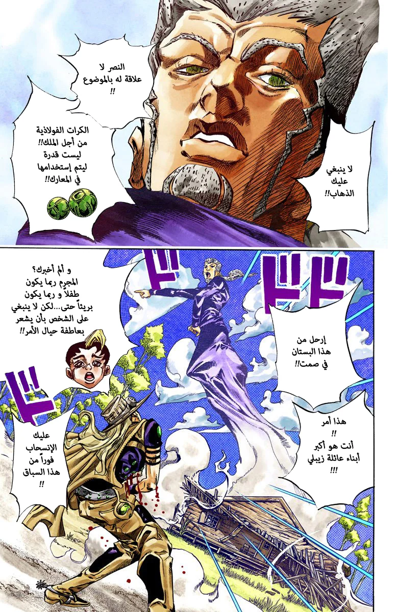 صفحة 17