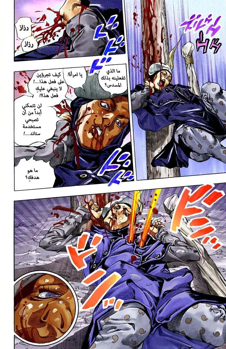 صفحة 14