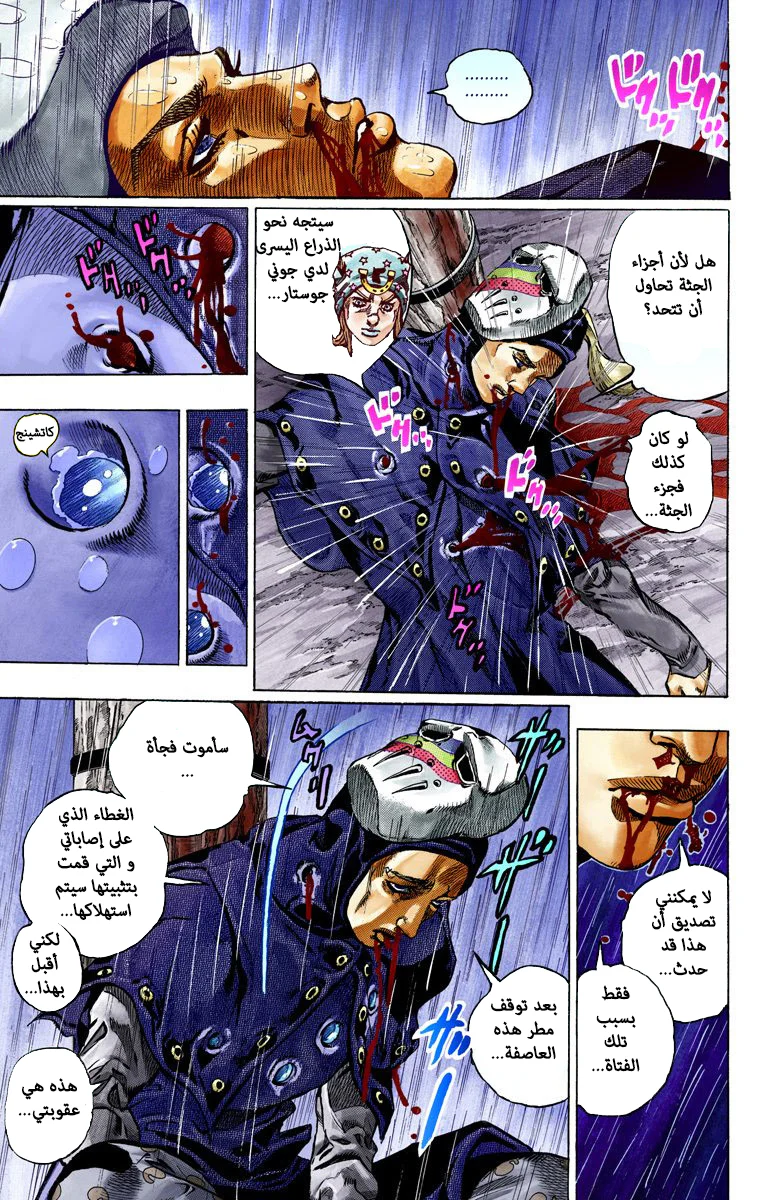 صفحة 17