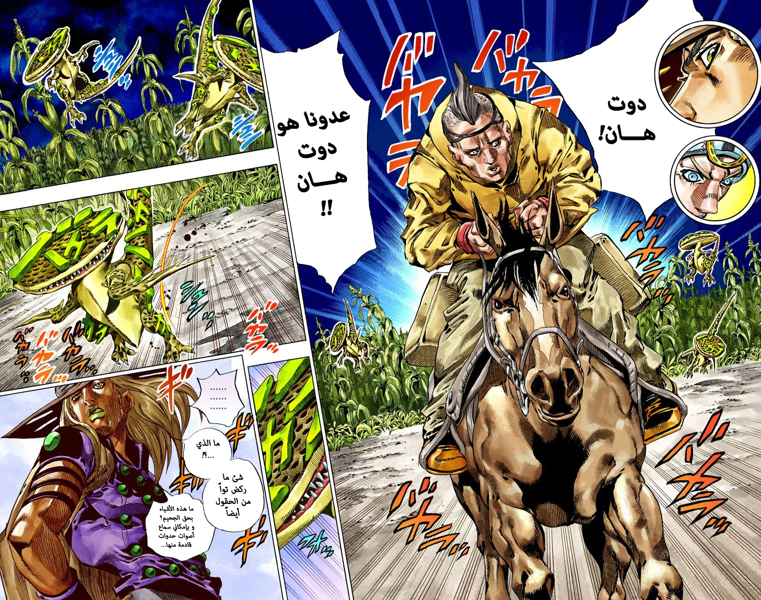 صفحة 24