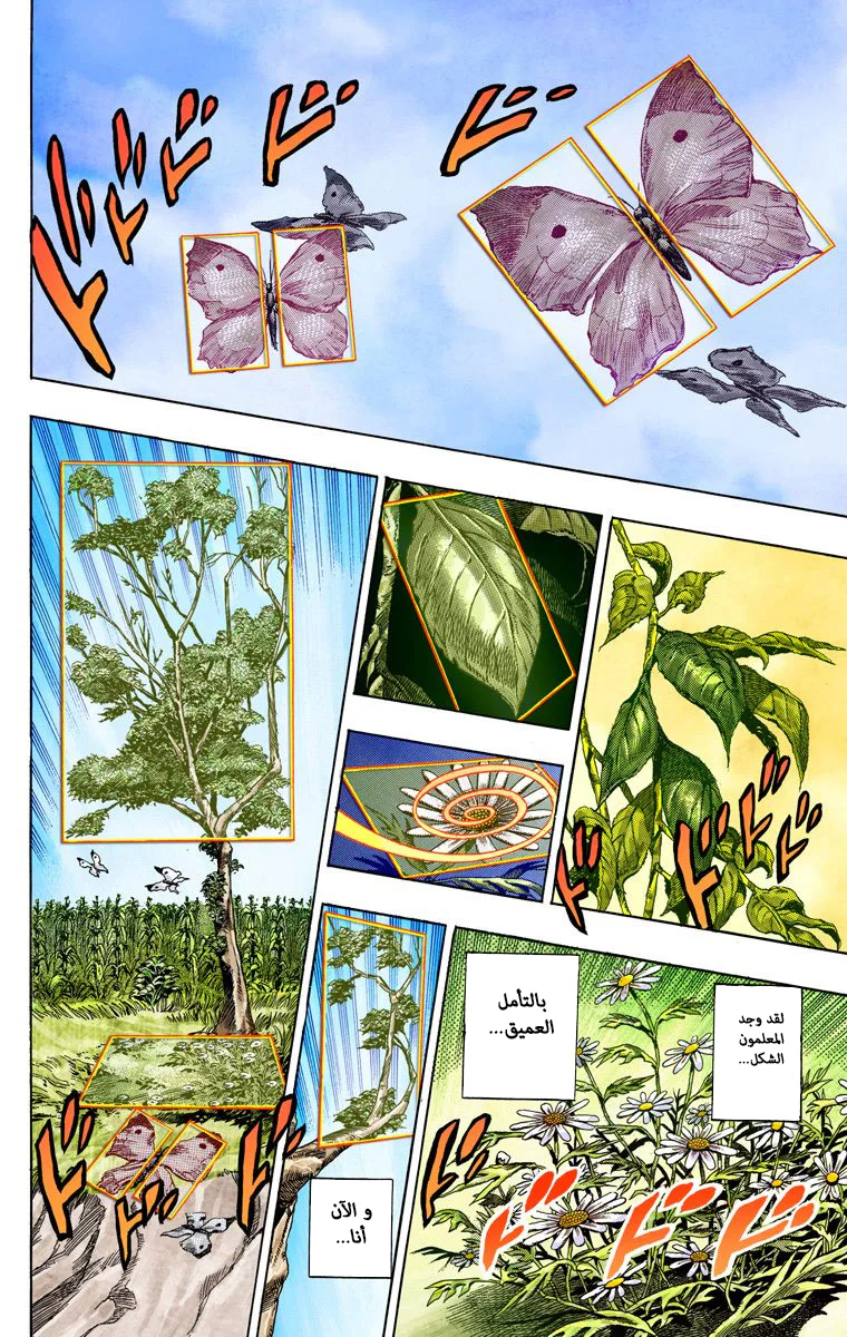 صفحة 46