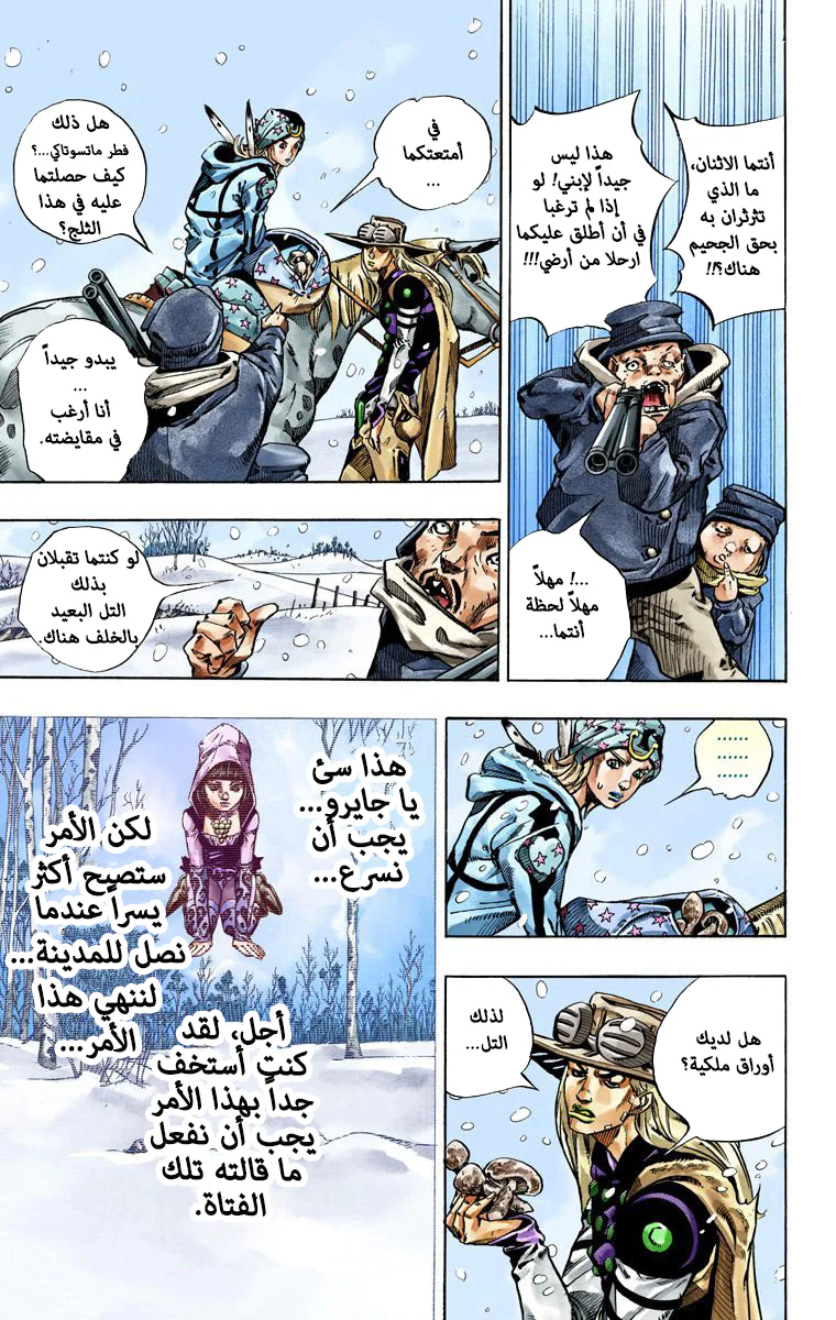 صفحة 17