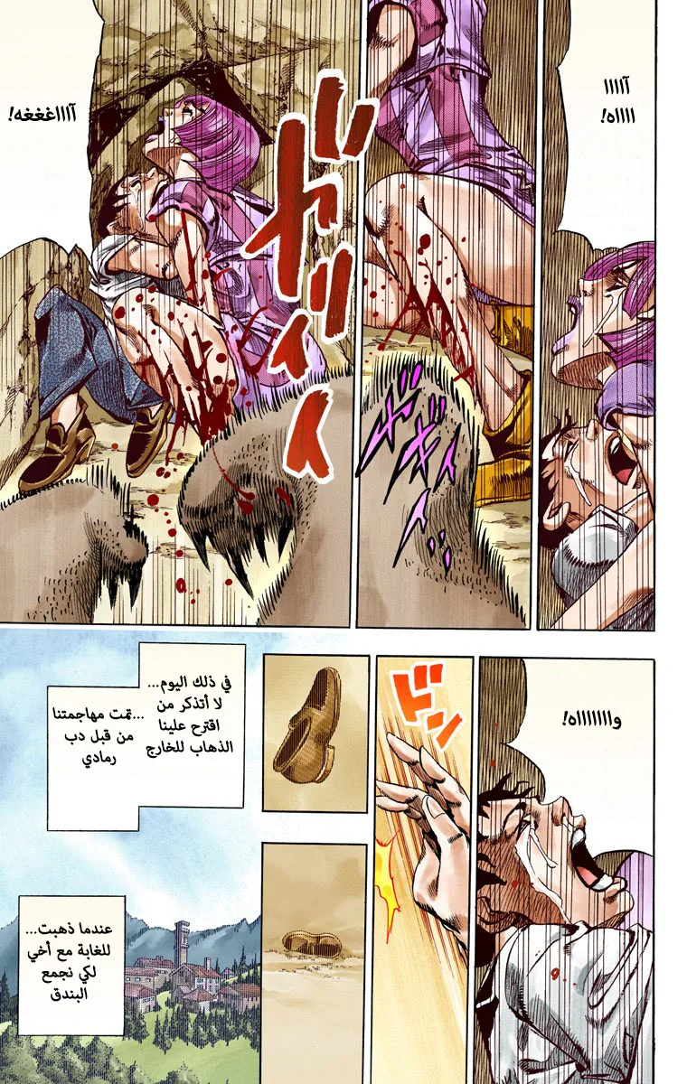 صفحة 17