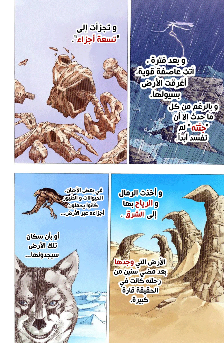 صفحة 11
