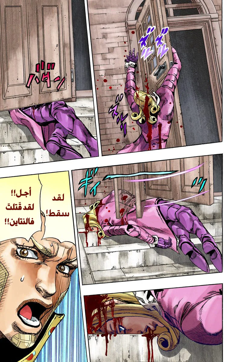 صفحة 17