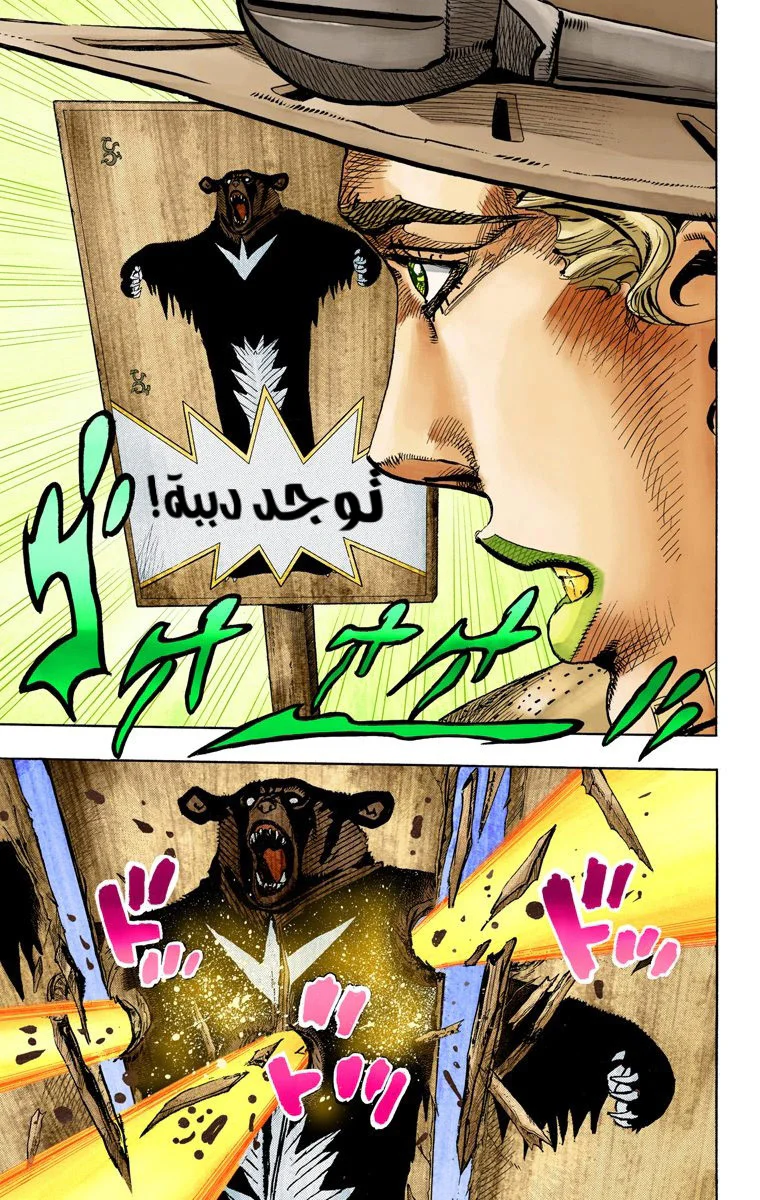 صفحة 13