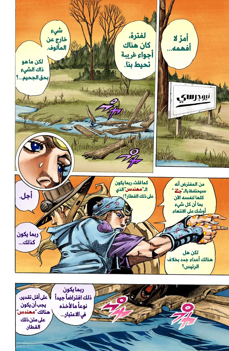 صفحة 17