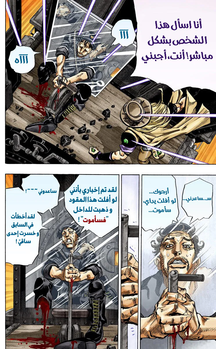 صفحة 17