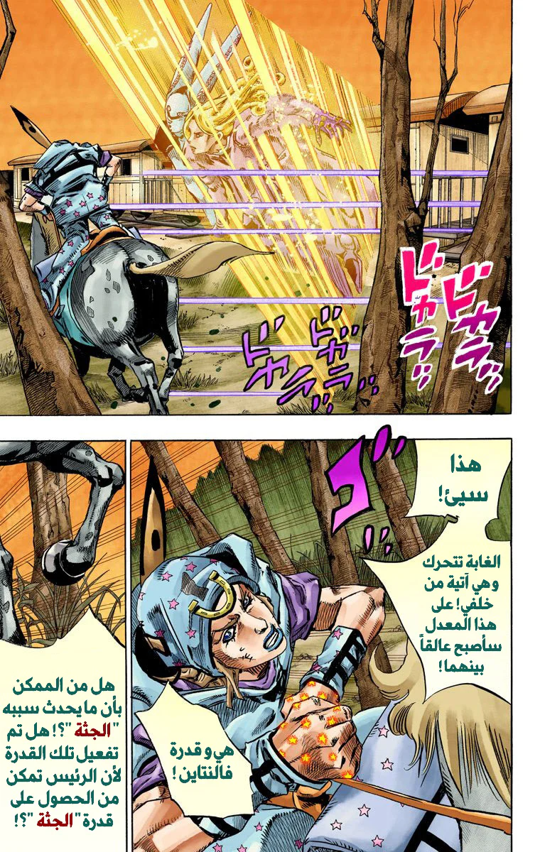 صفحة 13