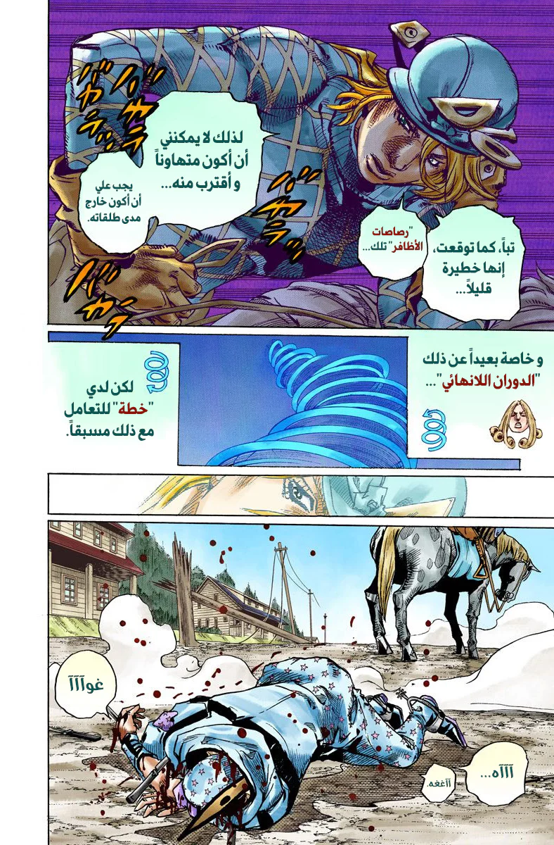 صفحة 17