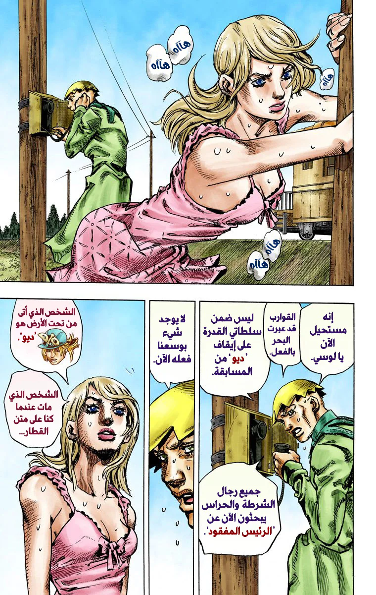 صفحة 13